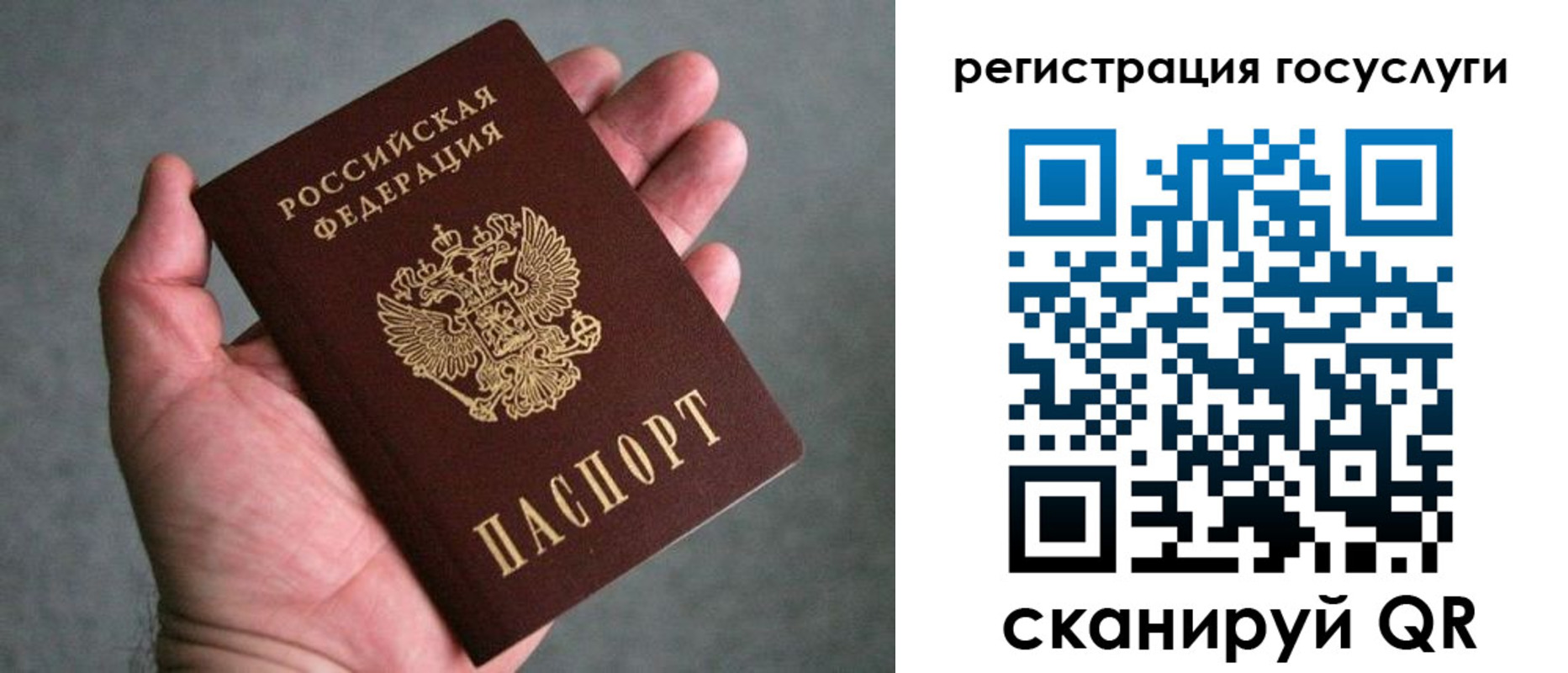 прописка поиск в Люберцах